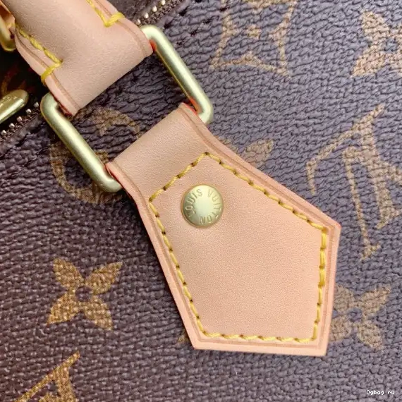 Vuitton SPEEDY BANDOULIERE 25 Louis 0509